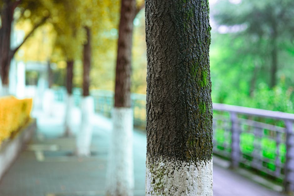 Close-up of a tree trunk with dark, textured bark and a white painted base, situated along an outdoor pathway. The background features additional trees with trunks painted white at the base, and a paved walkway bordered by a low wall and a metal railing. The scene is outdoors during daytime, with soft natural lighting illuminating the greenery and the path. This setting reflects outdoor moving preparations or a parkside environment, relevant to house removals and logistics. Ilford Man and Van's removals services are positioned to assist with such home relocation activities, including packing and furniture transport in parkside flats IG1, Ilford.